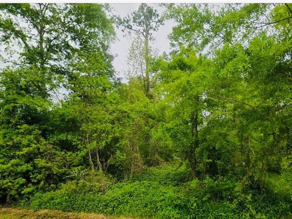 Lot 67-68 MAGNOLIA Drive , Ponchatoula, LA 70454