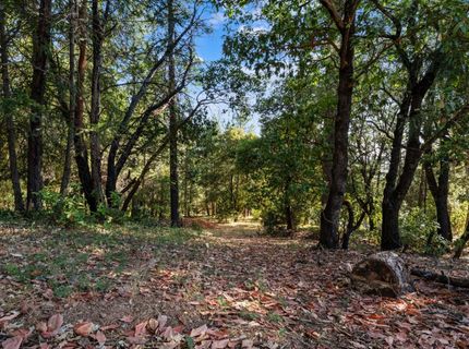 6561 Highgrade Ct, Placerville, CA 95667 Photo