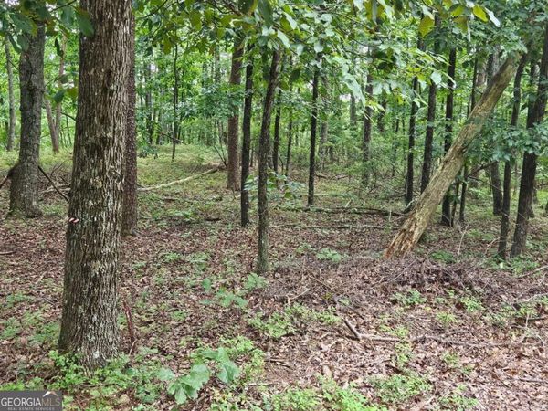 1467 Hanna Drive, Ranger, GA 30734