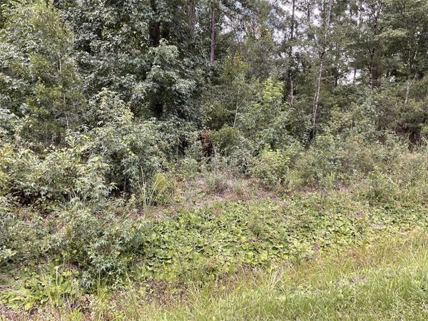 4940 KENNETH STREET , HASTINGS, FL 32145
