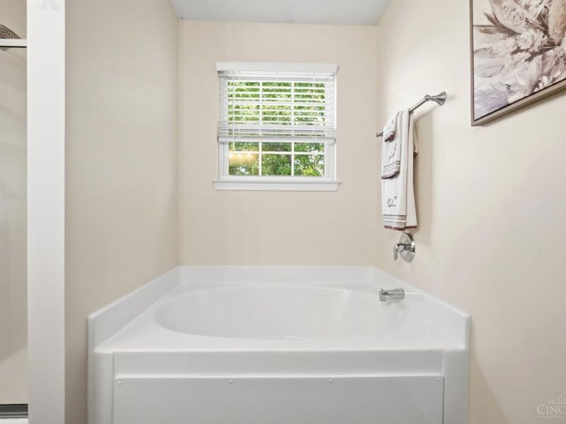 4456 Springfield Court, Batavia, OH 45103 Photo 49
