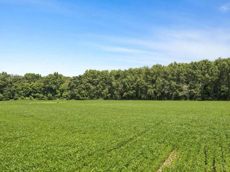 2303 Dean Road, Tate Township, OH 45106 Photo 18