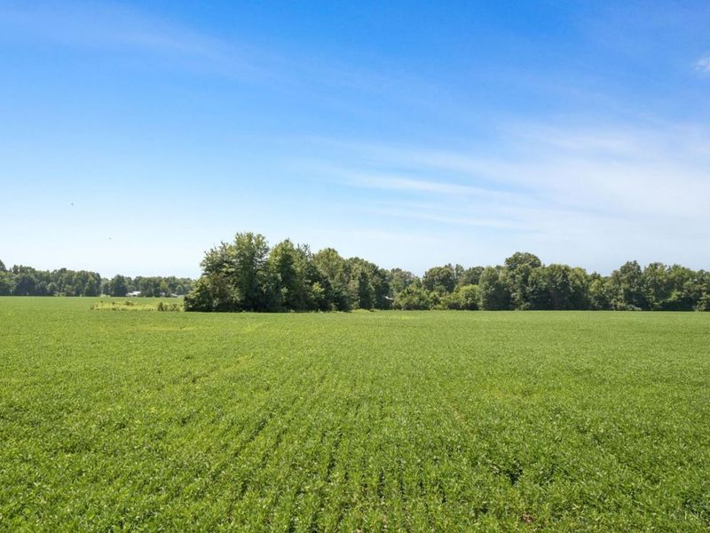 2303 Dean Road, Tate Township, OH 45106 Photo 19