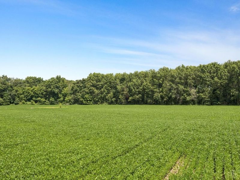 0 Dean Road, Tate Township, OH 45106 Photo 2