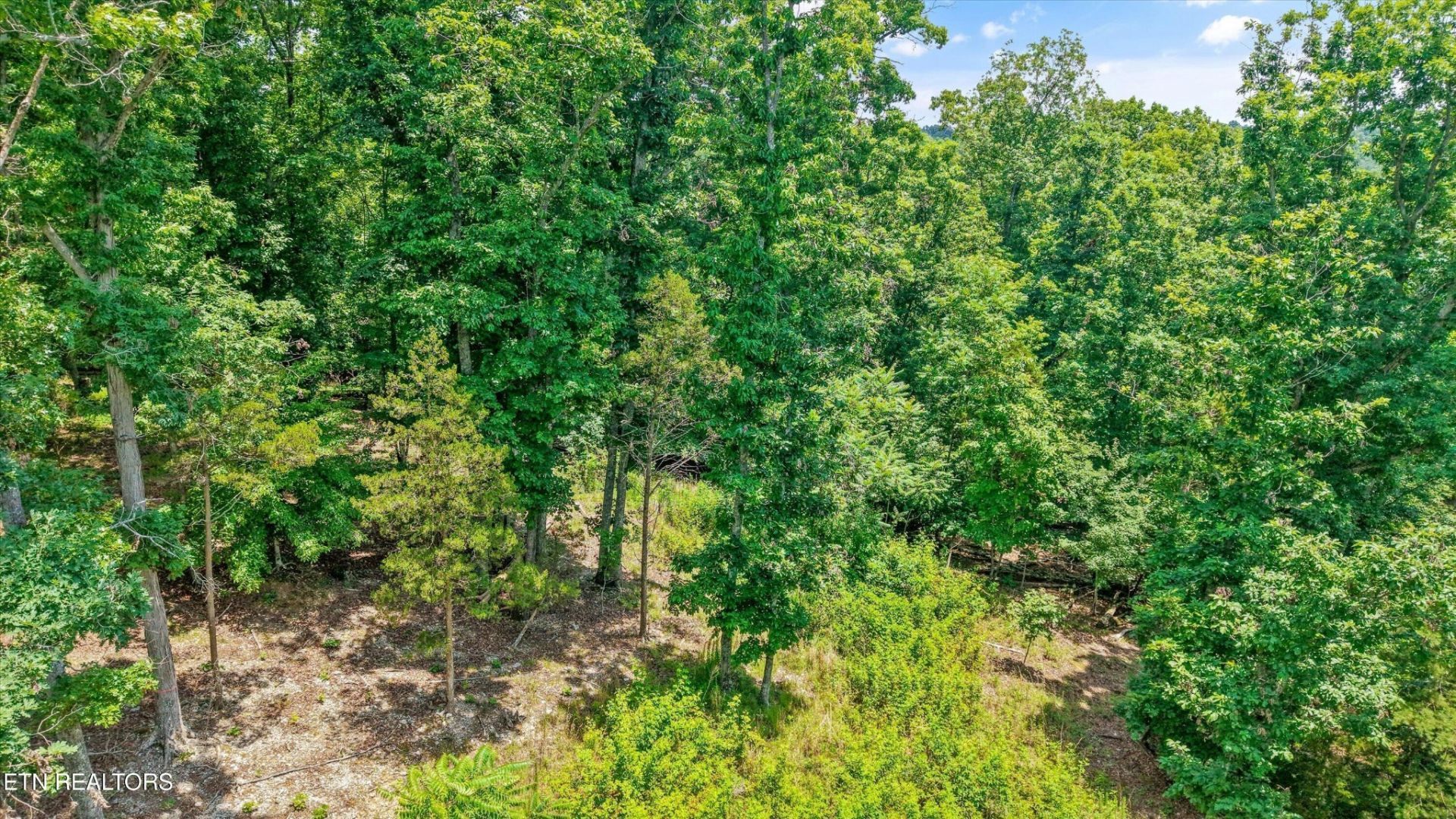 1499 Dogwood Valley Rd , Kingston, TN 37763 Main Photo