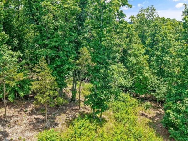1499 Dogwood Valley Rd , Kingston, TN 37763