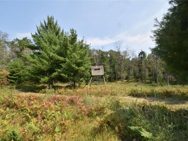 Lot 1 Pleasant Acres Trail, Danbury, WI 54830