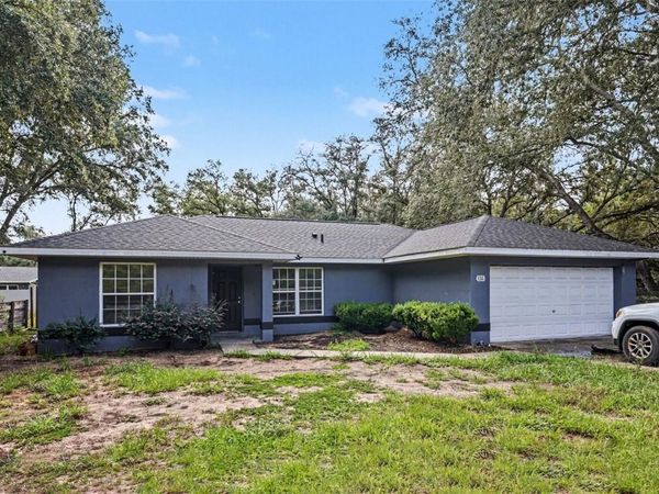 135 FISHER WAY TRAIL , OCKLAWAHA, FL 32179