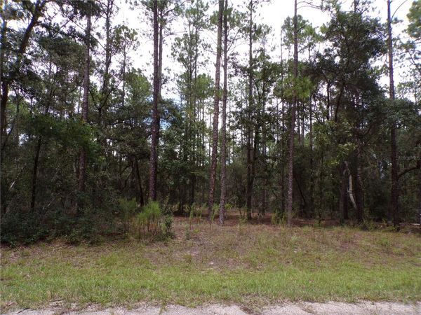601 E MARQUETTE LANE , CITRUS SPRINGS, FL 34434