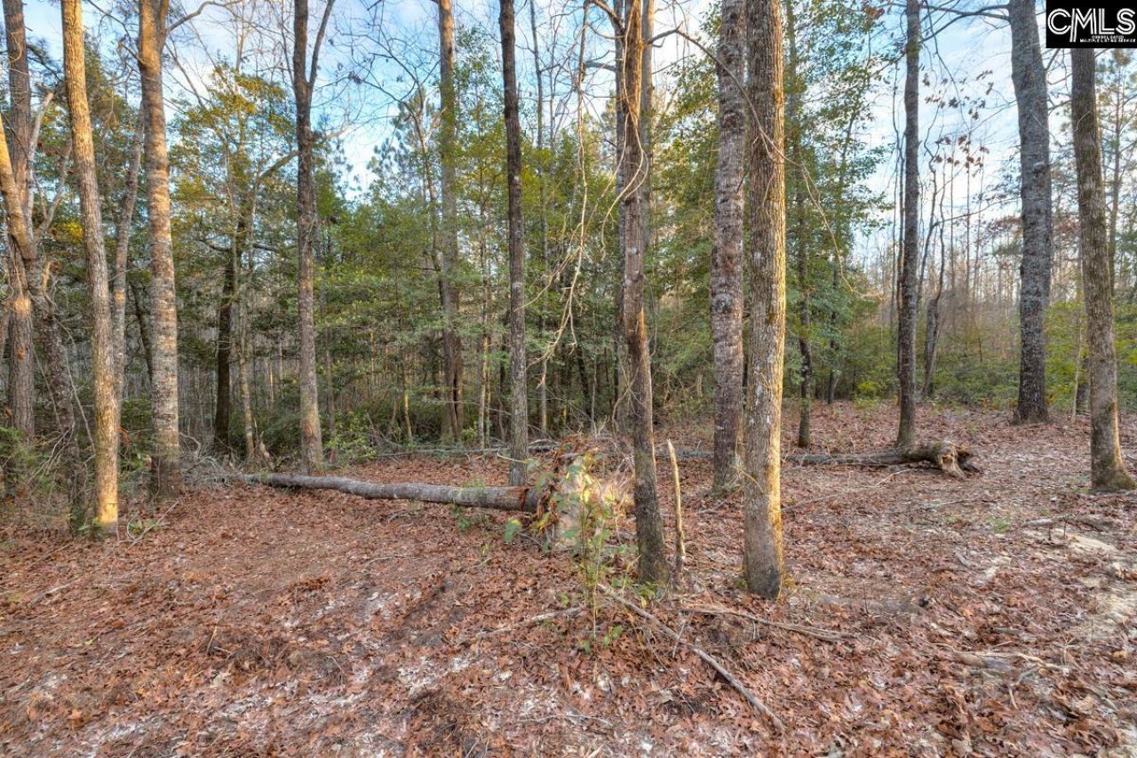 161 Raglins Way  Photo 10