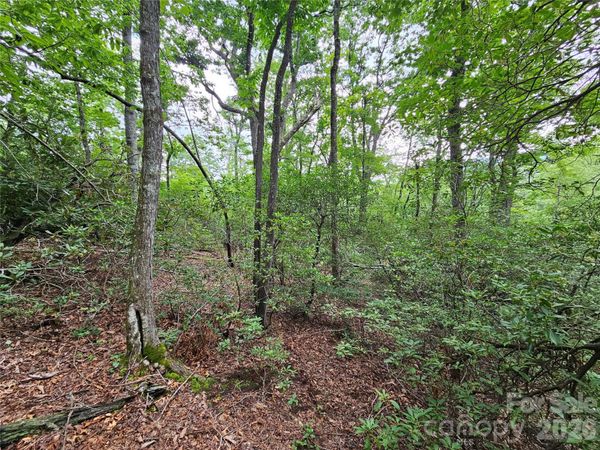 98 Down To Earth Drive , Burnsville, NC 28714