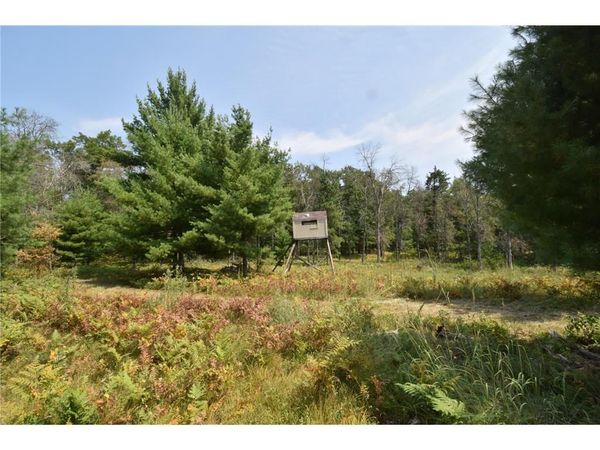 Lot 1 Pleasant Acres Trail, Danbury, WI 54830