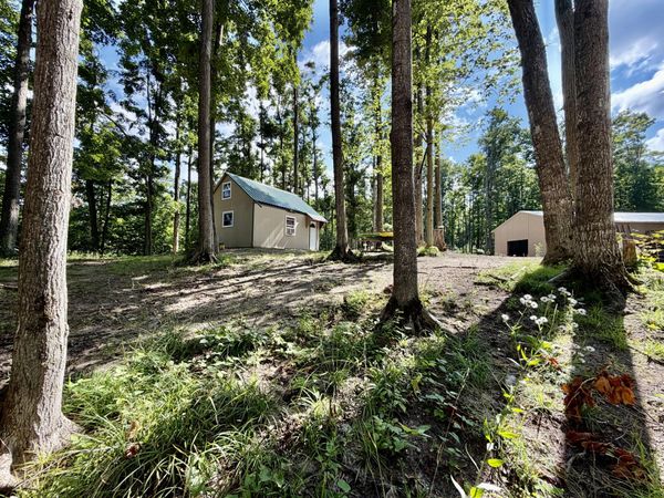 10.08 ac N Watkins Drive, Frederic, MI 49733