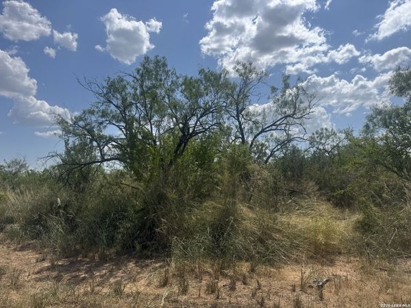 000 Ave. N, Christine, TX 78012