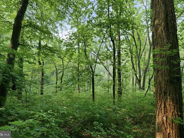 GOONEY MANOR LOOP, BENTONVILLE, VA 22610
