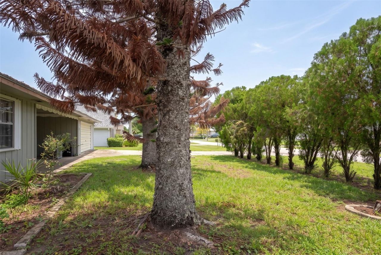21 Cunningham Drive, New Smyrna Beach, FL 32168 Photo