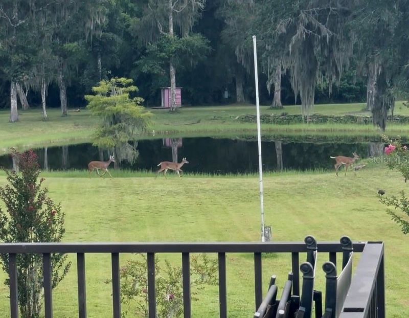 776 Maytown Road, Oak Hill, FL 32759 Photo
