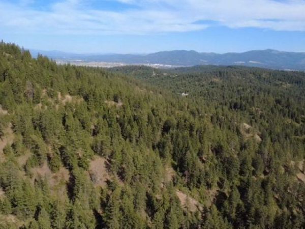 95XX N Campbell Rd, Spokane, WA 99027