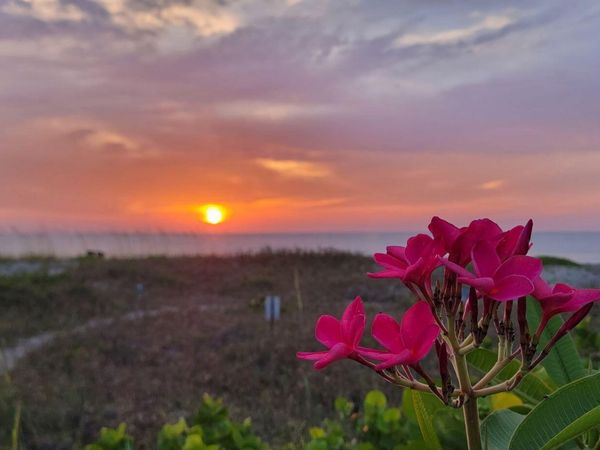 57 S Atlantic Avenue , Unit 11, Cocoa Beach, FL 32931