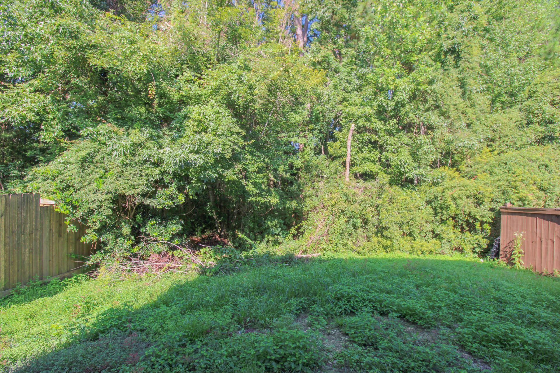 8811 Kellum Drive Photo 28
