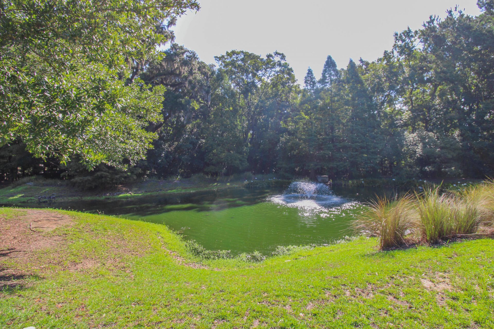 8811 Kellum Drive Photo 31