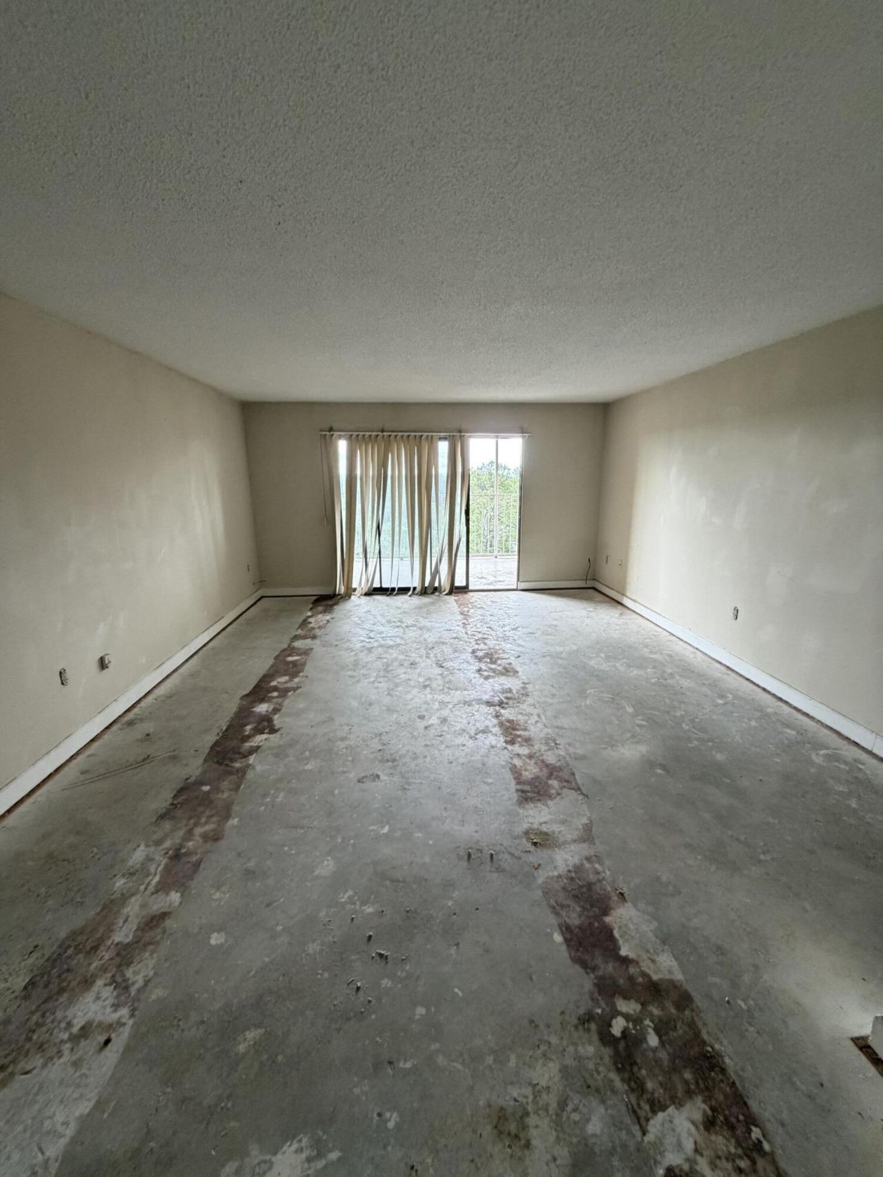 1825 St Julian Place Photo 4