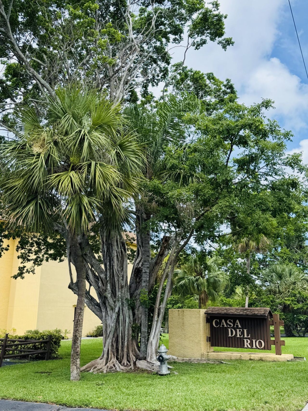 480 NW 20th Street, Unit 3020, Boca Raton, FL 33431 Photo