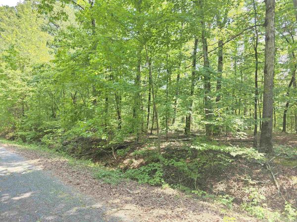 153 Raso Way , Hot Springs Village, AR 71909