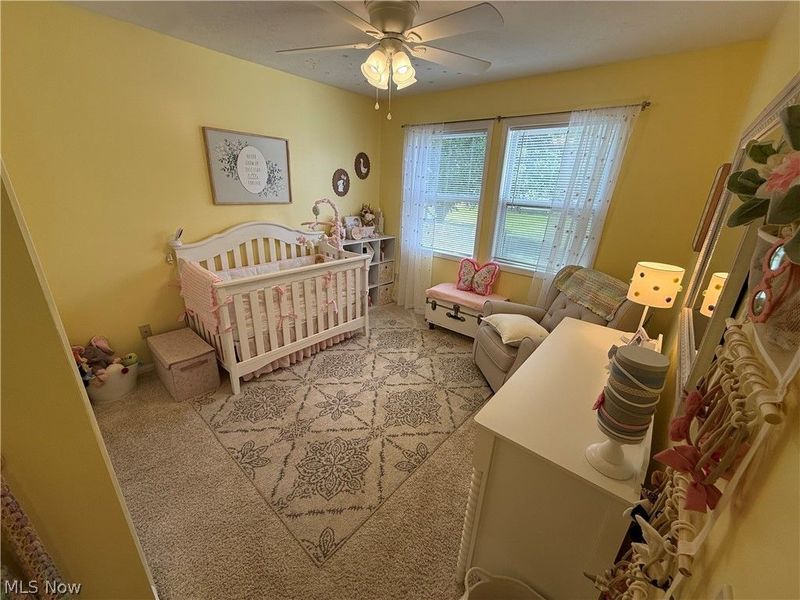 320 Kent Street, Wellington, OH 44090 Photo 18