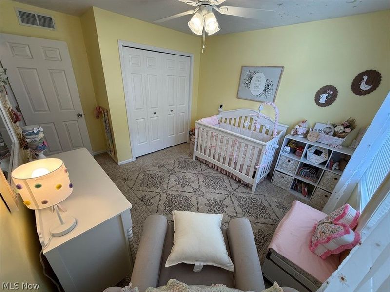 320 Kent Street, Wellington, OH 44090 Photo 19