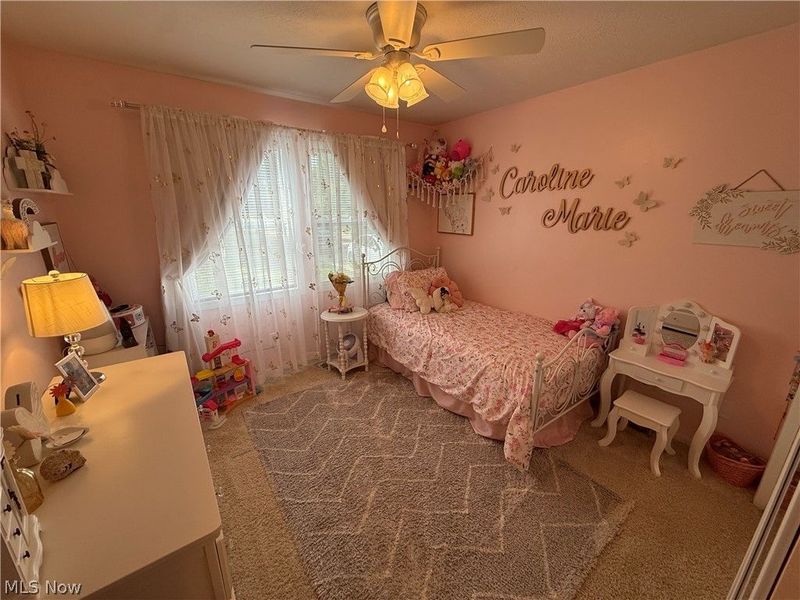 320 Kent Street, Wellington, OH 44090 Photo 20