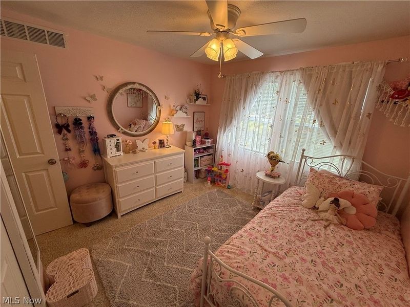 320 Kent Street, Wellington, OH 44090 Photo 21