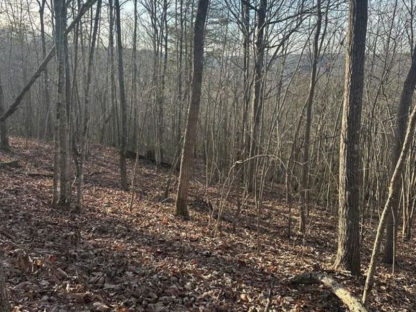 Lot 278 Purple Iris, Wilder, TN 38589