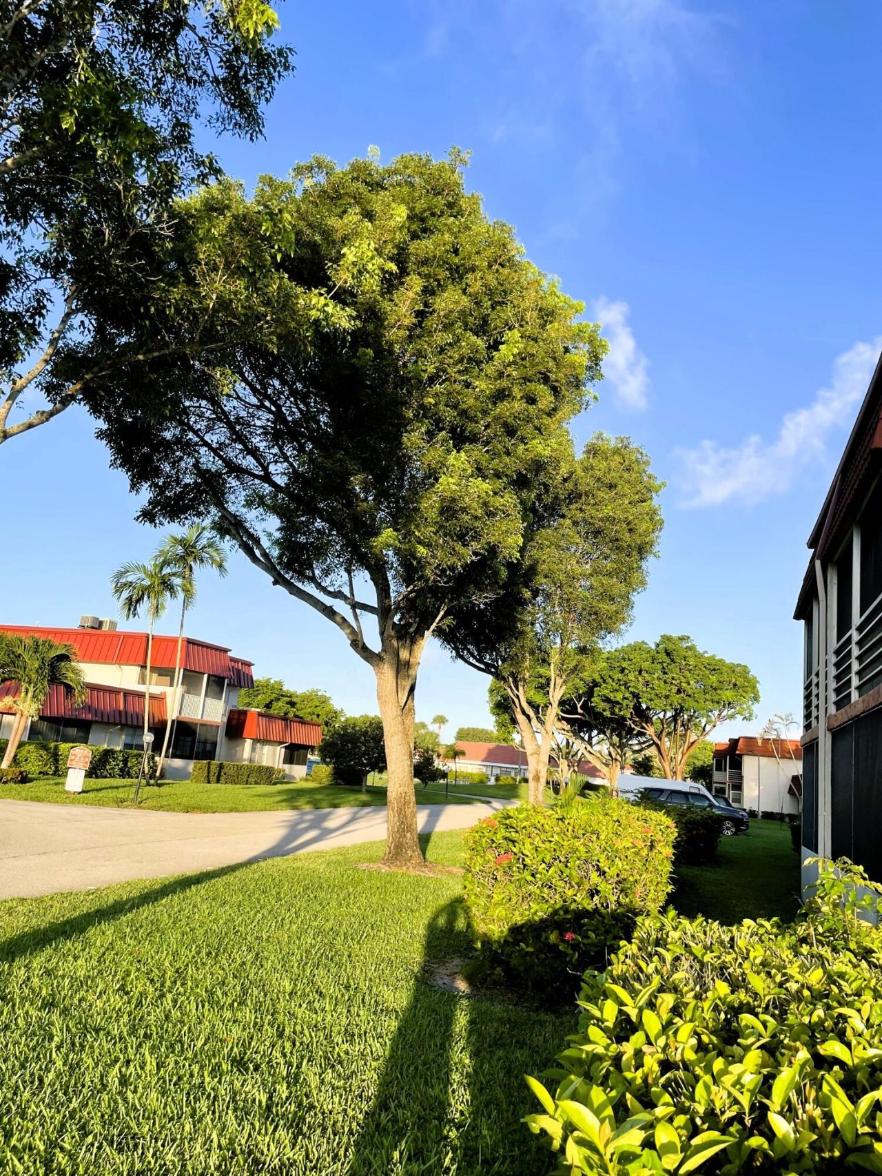 12011 Poinciana Boulevard S, Unit 202, Royal Palm Beach, FL 33411 Photo