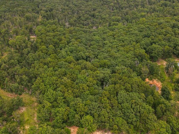 000 Sappington Lane , Falcon, MO 65470