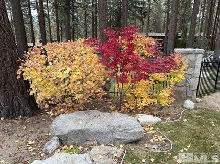 600 Hwy 50, Unit 15, Zephyr Cove, NV 89448 Photo