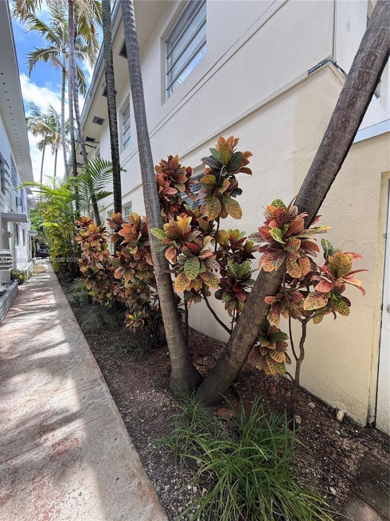 1616 Michigan Ave , Unit 15, Miami Beach, FL 33139 Photo