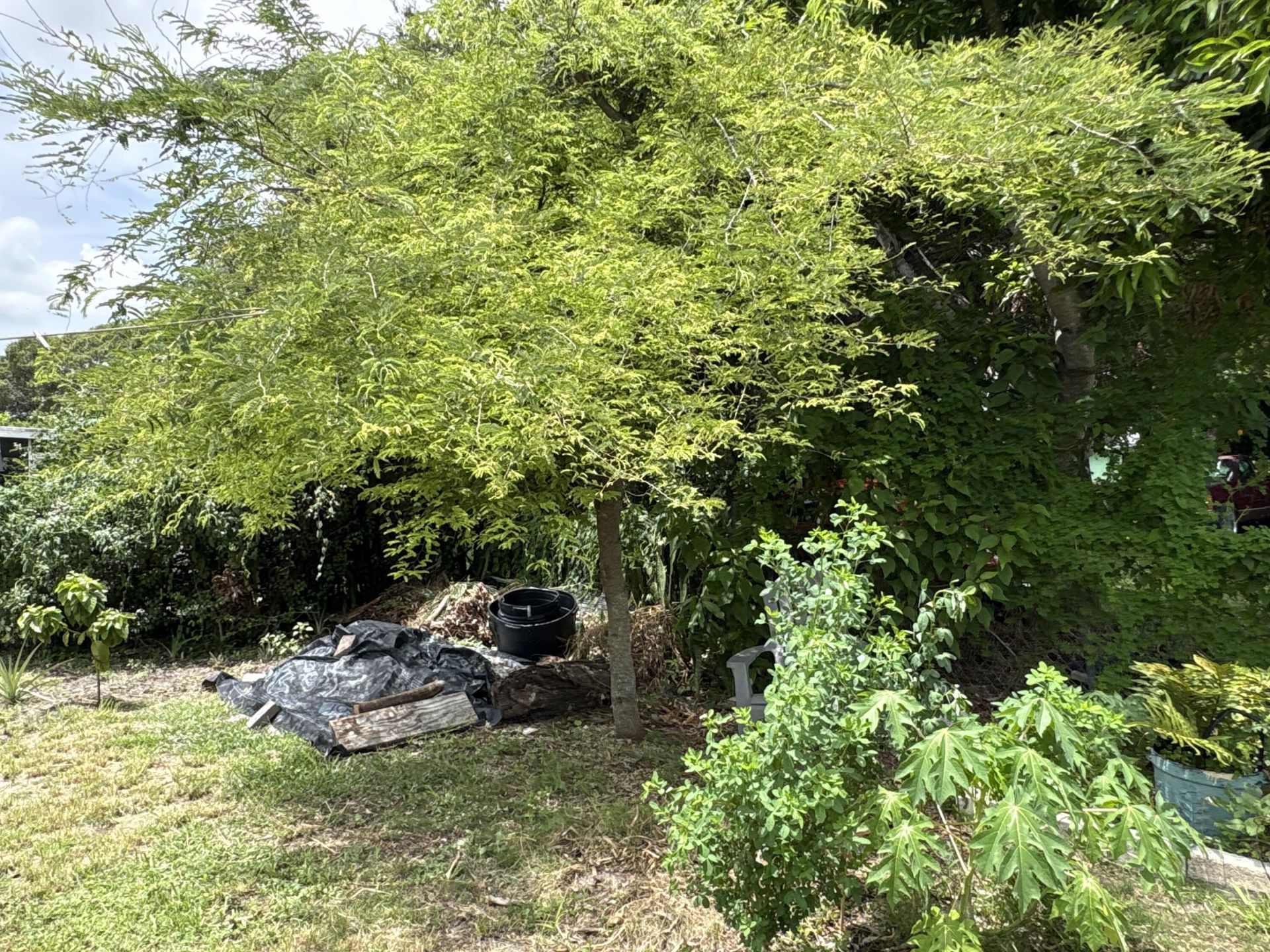 1001 Sunrise Boulevard, Fort Pierce, FL 34950 Photo