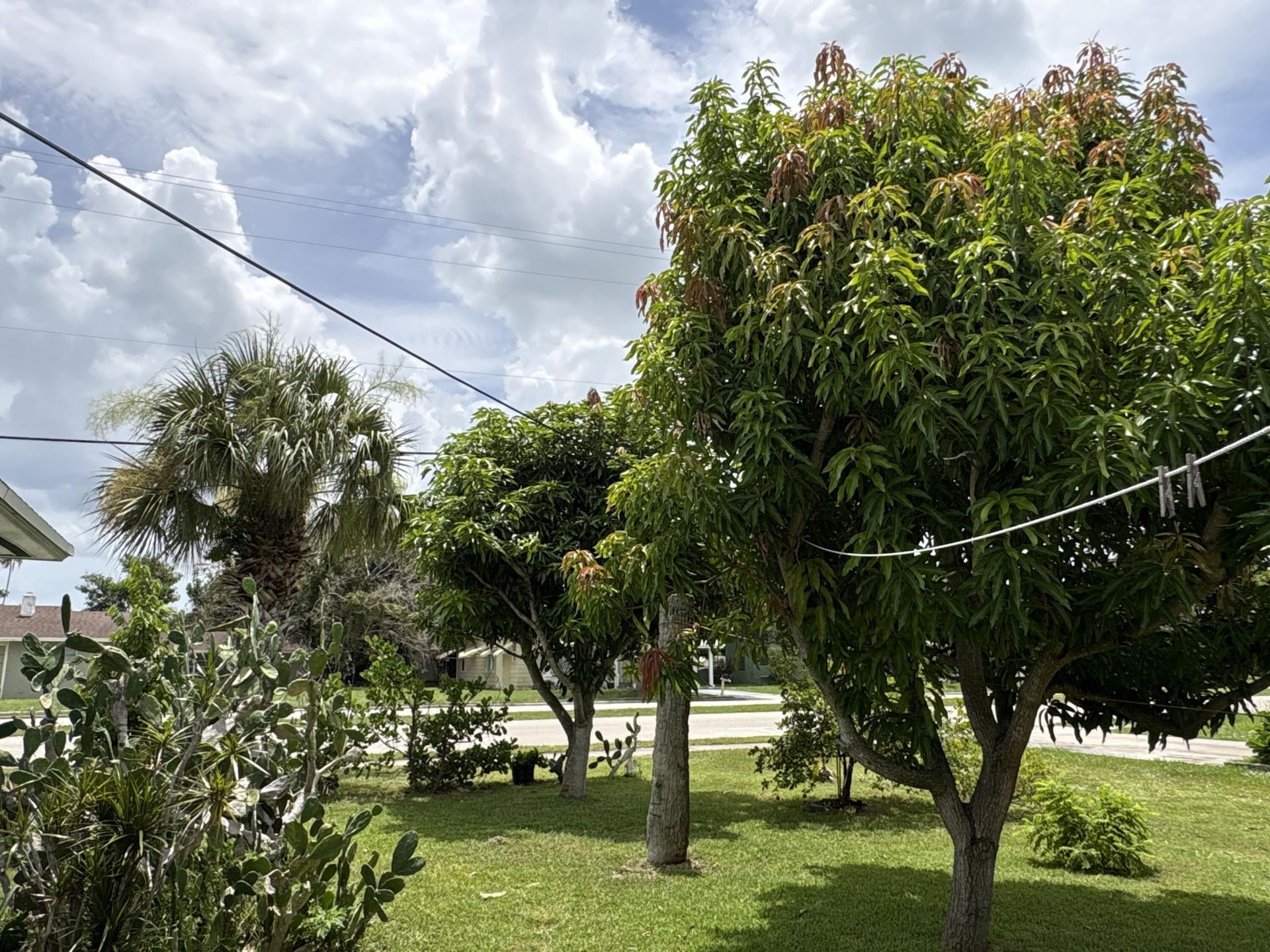 1001 Sunrise Boulevard, Fort Pierce, FL 34950 Photo