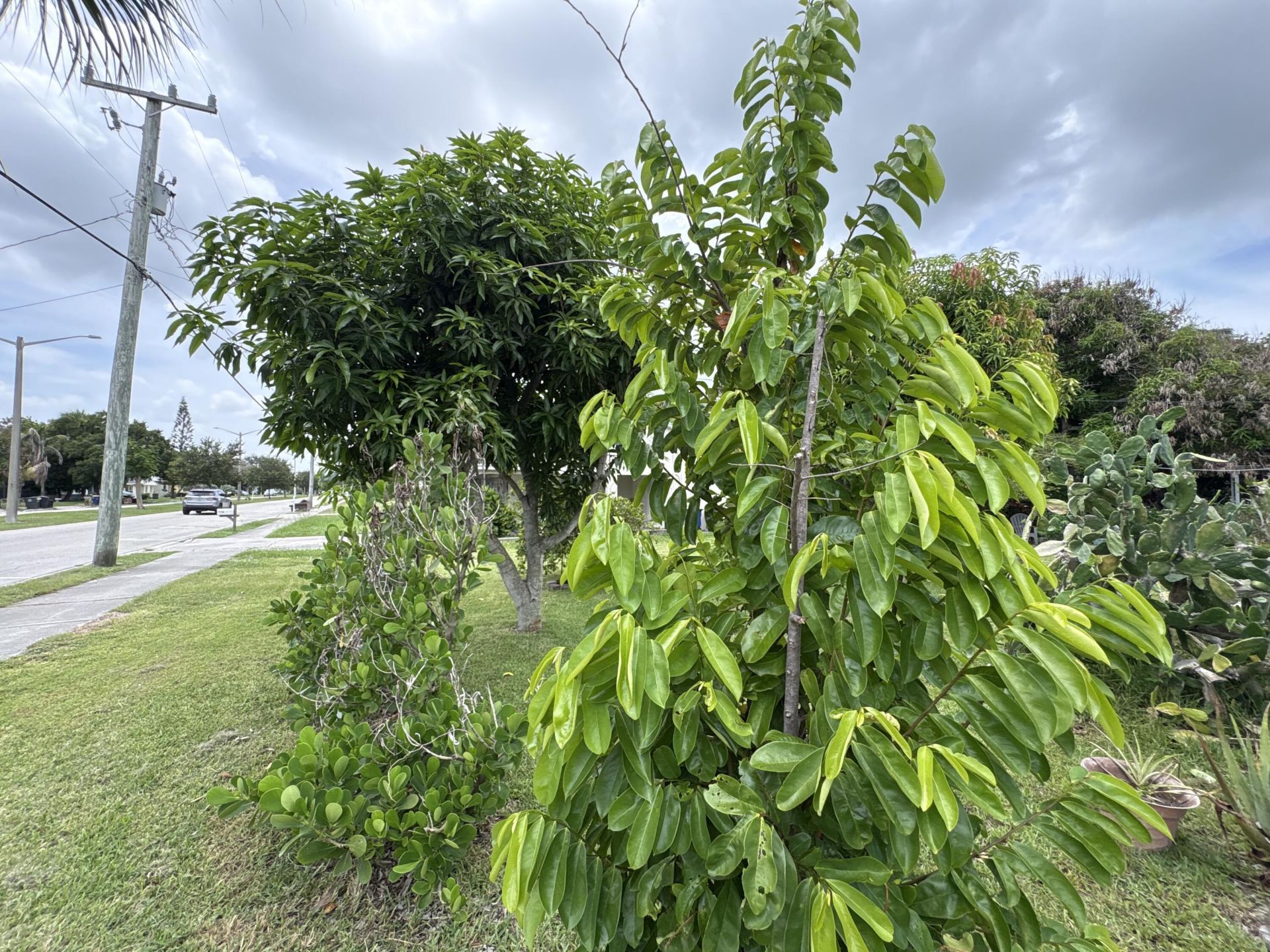 1001 Sunrise Boulevard, Fort Pierce, FL 34950 Photo