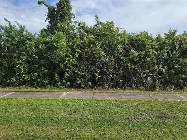 12436 WILLMINGTON BOULEVARD , PORT CHARLOTTE, FL 33981