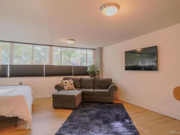1196 N Grant Street , Unit 113, Denver, CO 80203