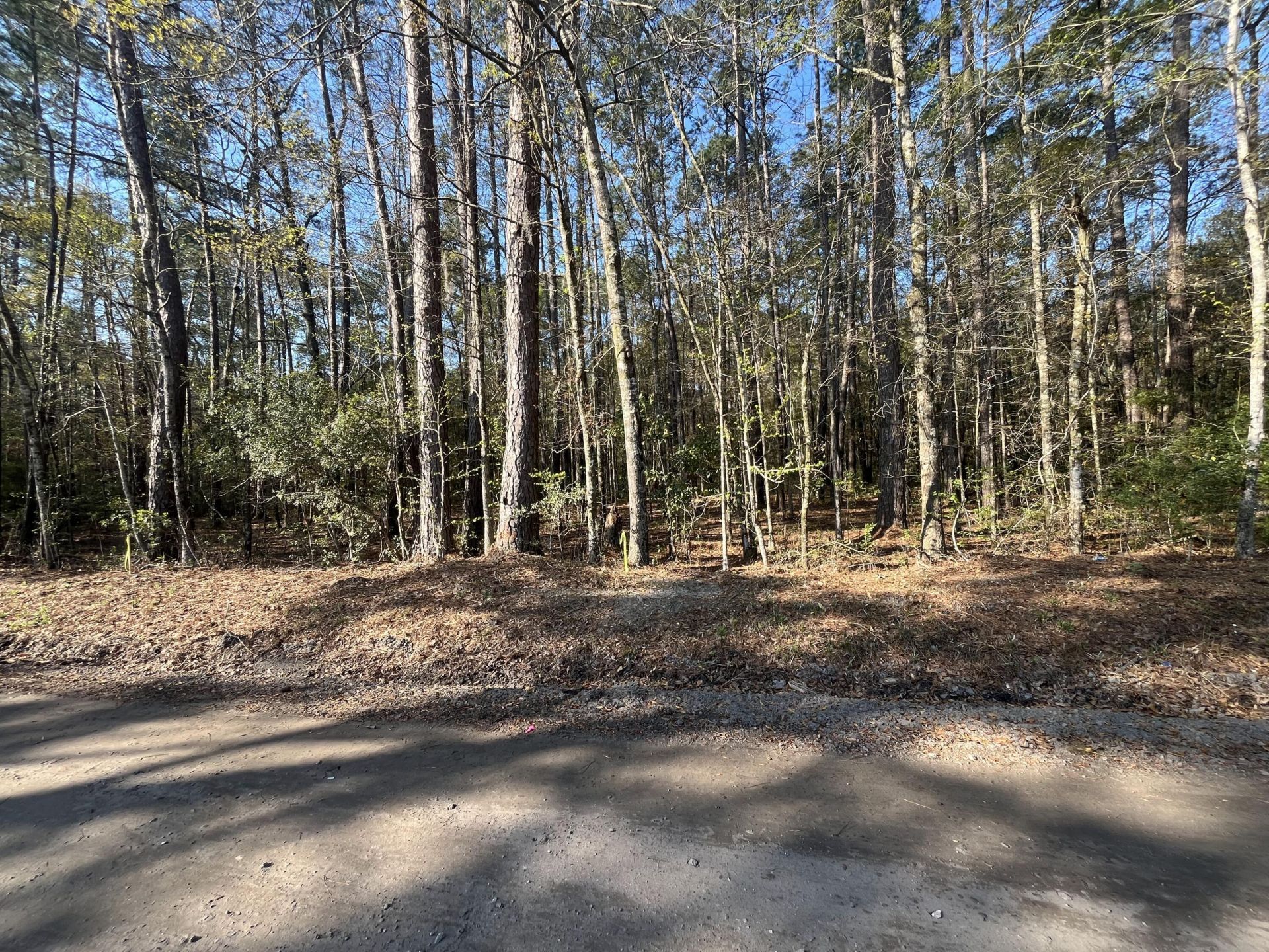 5331 Old Military Road Photo 6
