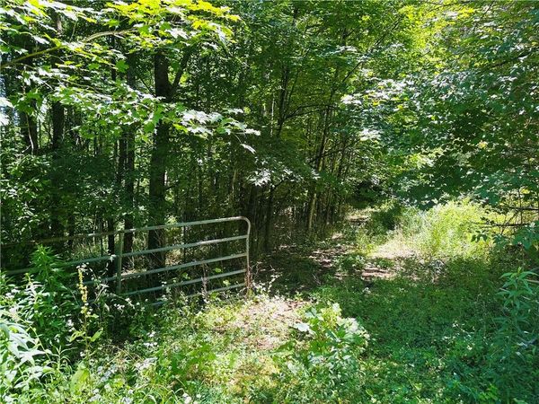 287 Dirt Road , Delancey, NY 13752