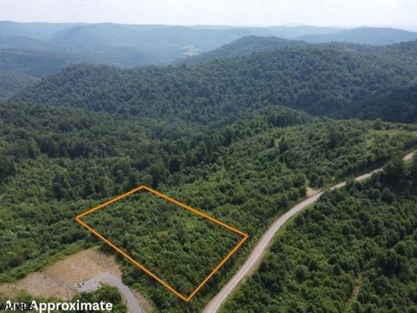 31 Burch Hill Road, Terra Alta, WV 26764