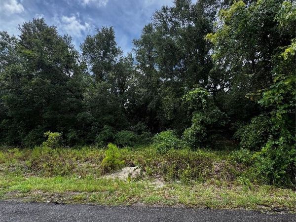 00 SE 115TH PLACE RD. , OCKLAWAHA, FL 32179