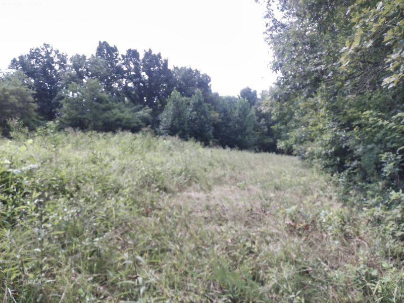 375 Moon Road, Williamstown, KY 41097 Photo 10