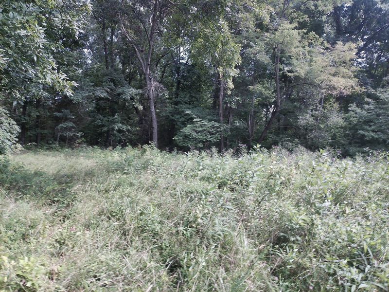 375 Moon Road, Williamstown, KY 41097 Photo 13