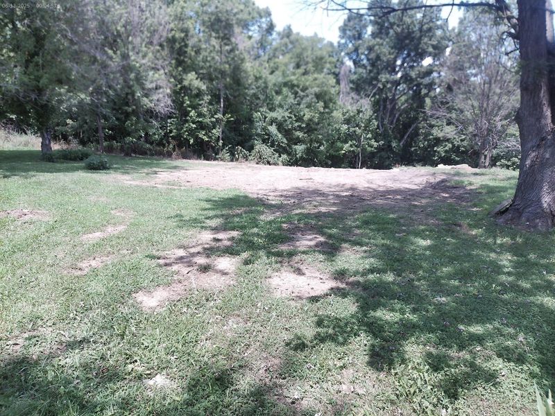 375 Moon Road, Williamstown, KY 41097 Photo 14