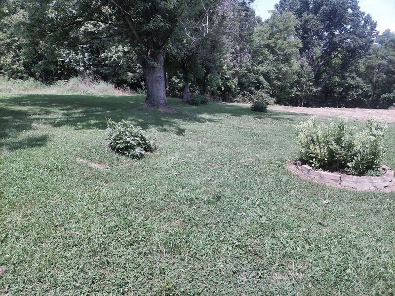 375 Moon Road, Williamstown, KY 41097 Photo 17